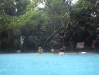 pict0015