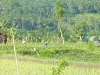 p1050509