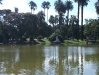 dscf0397