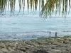 p1050961