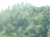 p1050809