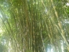 p1050818
