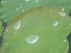 p1070228