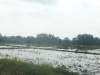 p1050010