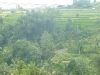 p1050898