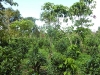 p1070488