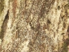 p1070512