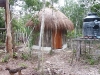 p1000568