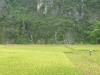 p1070006