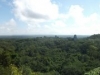 dscf0221