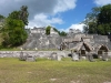 p1000952