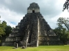 p1000954